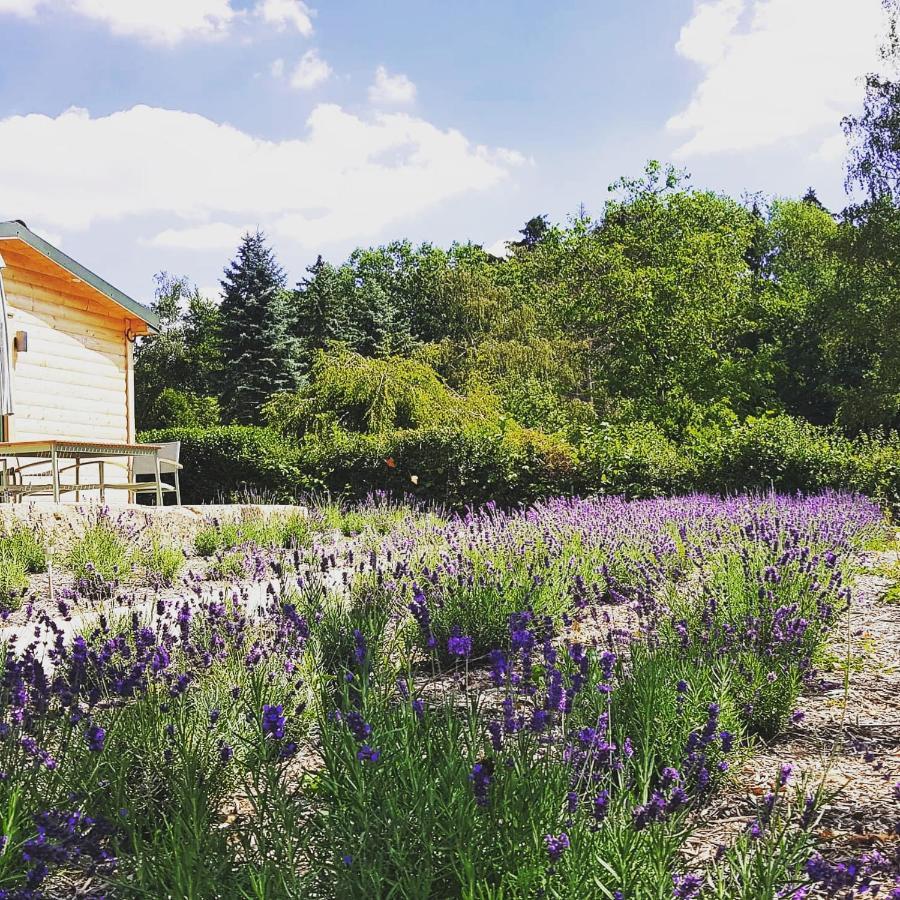 Chalet "Waldhauszeit" Am See 뮉케 외부 사진